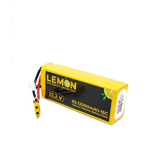Lemon 12000mAh 6S 15C/30C Lithium Polymer Battery Pack
