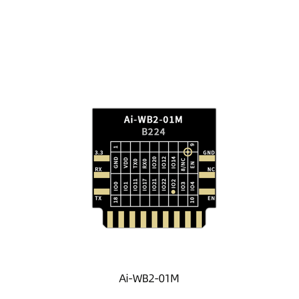 Ai-Thinker Ai-WB2-01M Module