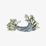 White 9mm 12v 5 inch Pixel Led Serial Decoration Light – 5 meters – 50 Leds