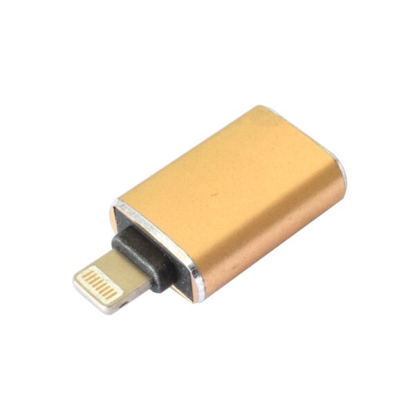 GL-163 iPad to USB OTG Connection Kit