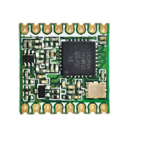 RF module RFM119W 868S1