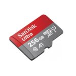 Sandisk 256 GB SD card 1
