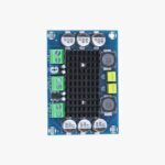 XH-M542 TPA3116D2 Single Channel High Power Digital Audio Power Amplifier Board